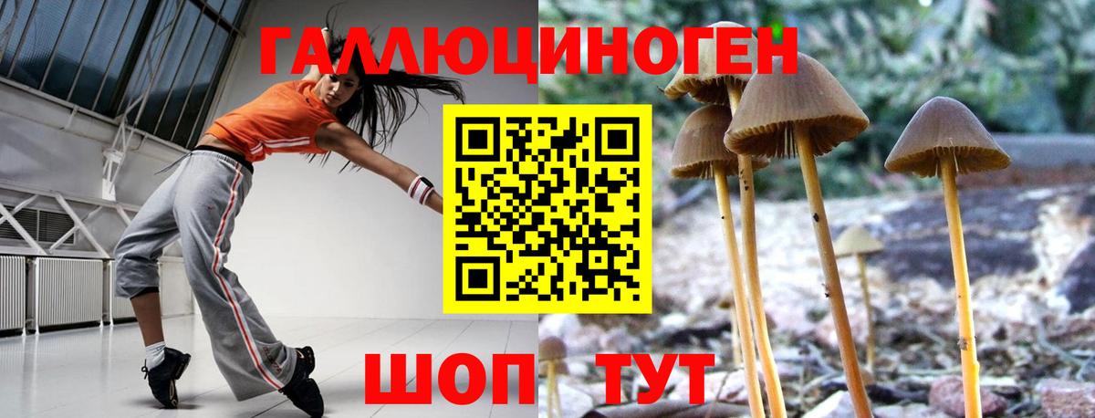 Псилоцибиновые грибы Psilocybine cubensis  купить закладку  Павлово  Вход с VPN 