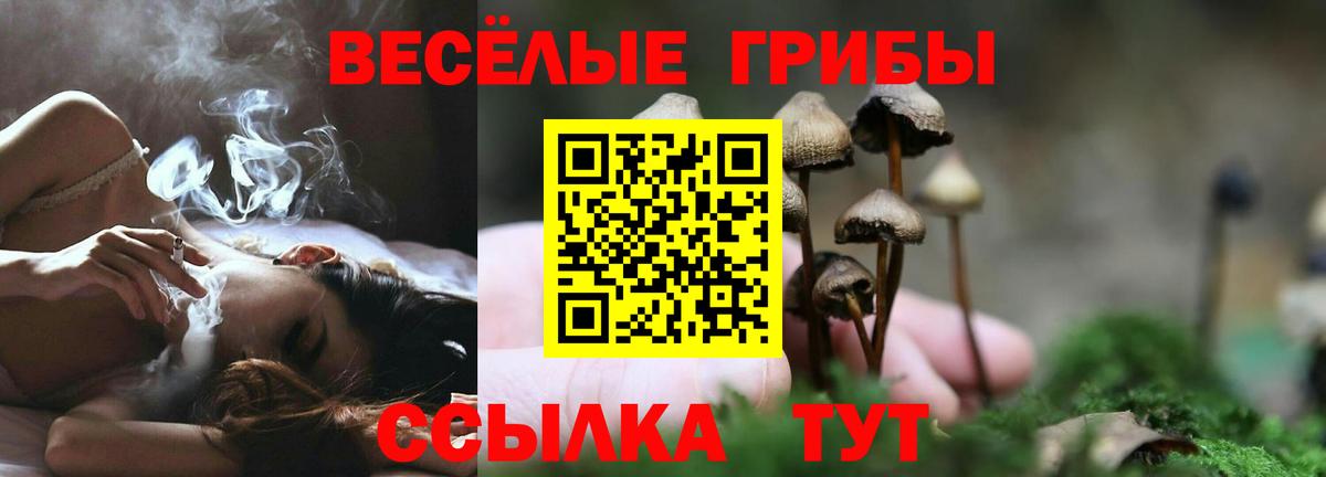 Галлюциногенные грибы GOLDEN TEACHER Павлово